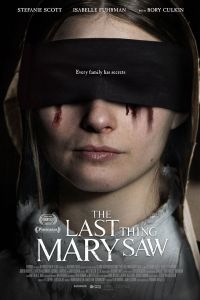 فيلم The Last Thing Mary Saw 2021 مترجم